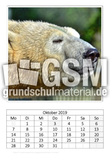 Oktober_Eisbär_2.pdf